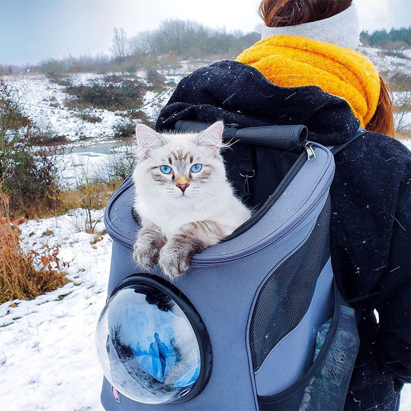 PawPod Backpack