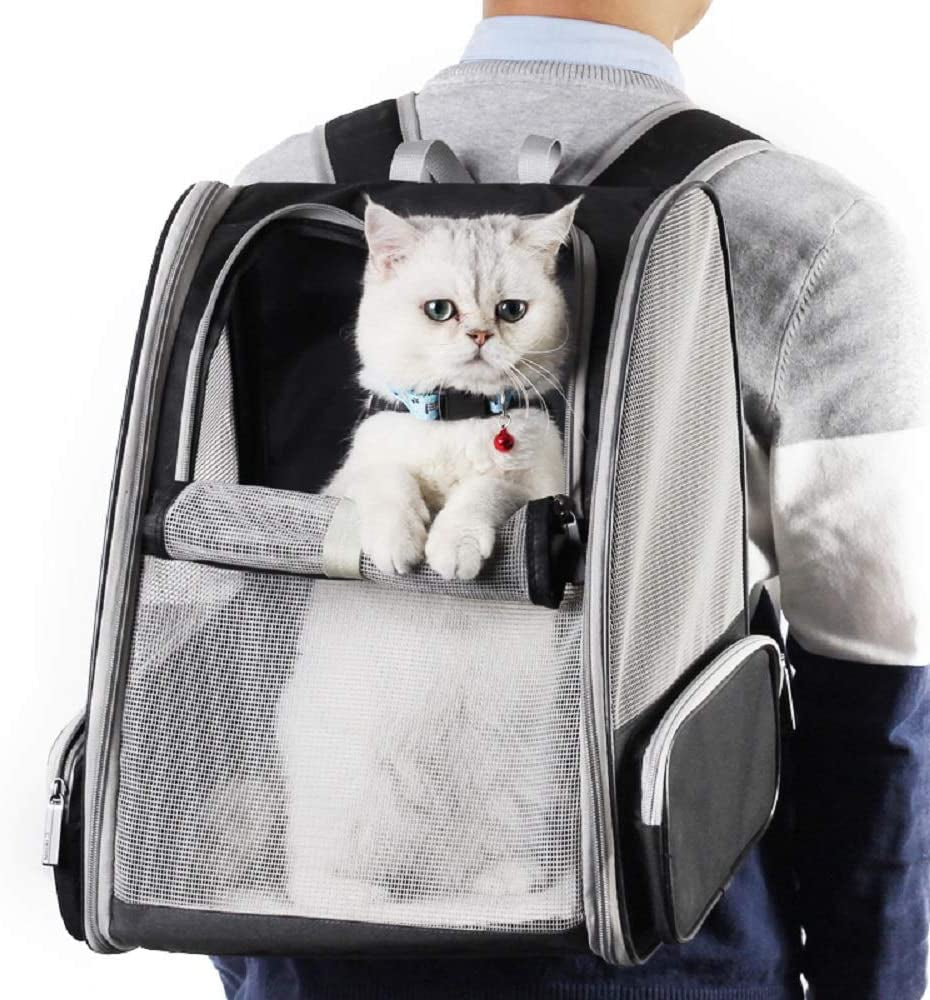 Bubble Backpack Carrier for Cats
